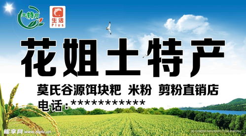 土特產(chǎn)門頭廣告設(shè)計指南 關(guān)鍵要素與創(chuàng)意靈感